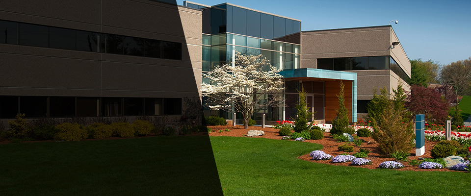 Springbrook Landscapers