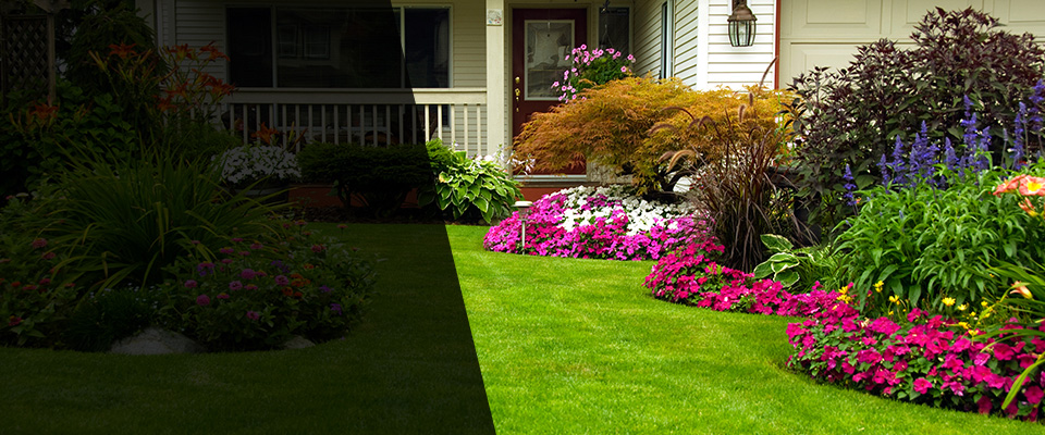 Springbrook Landscapers