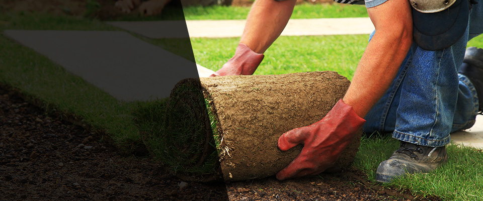 Springbrook Landscapers